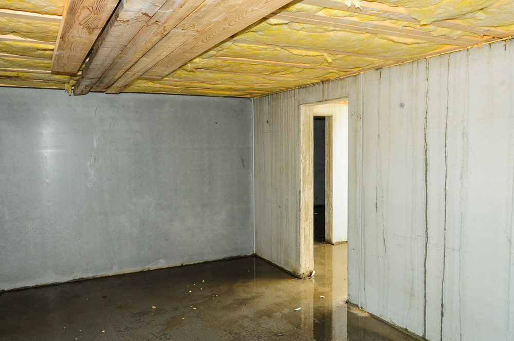 Faulty,builded,and,damp,basement,in,a,new,building.